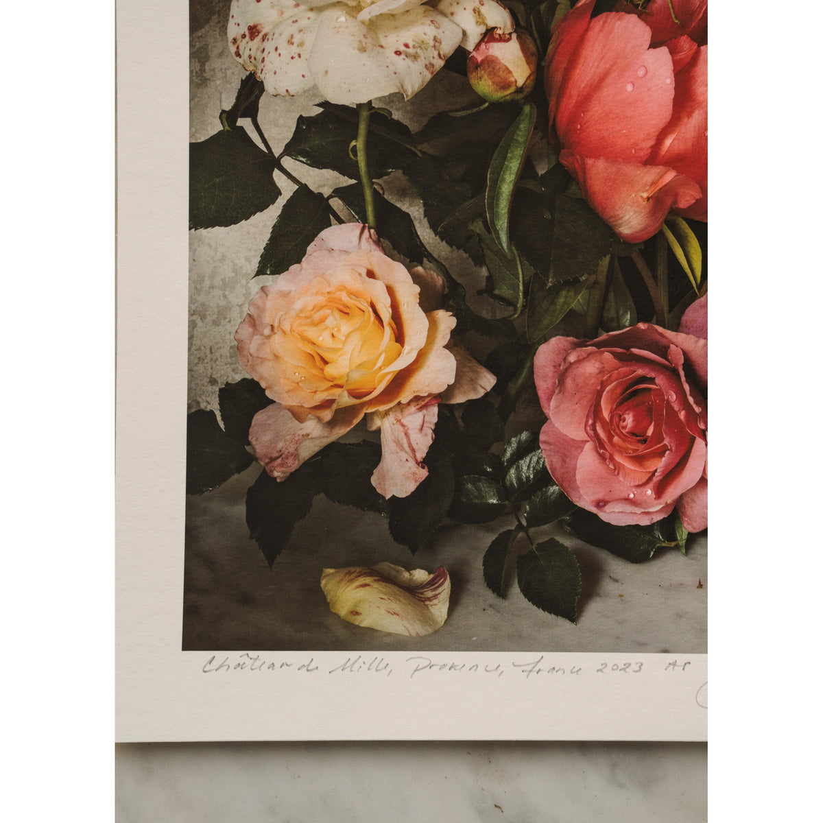 Floral Family • 1 of 1 signed Artist Proof