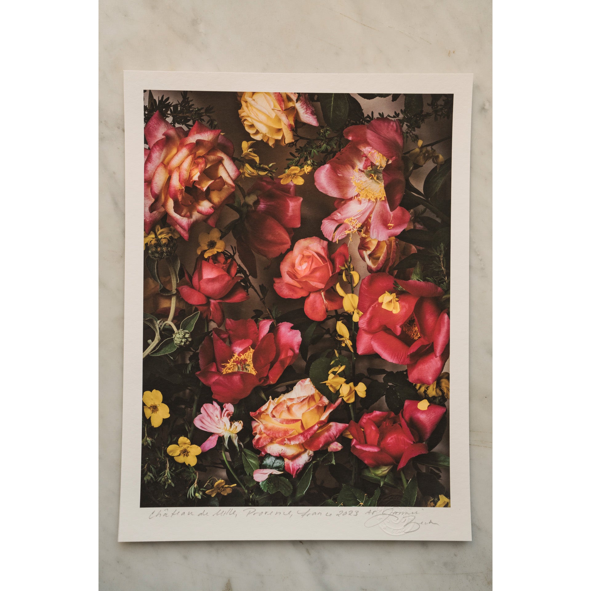 Electric Pink • 1 of 1 signed Artist Proof