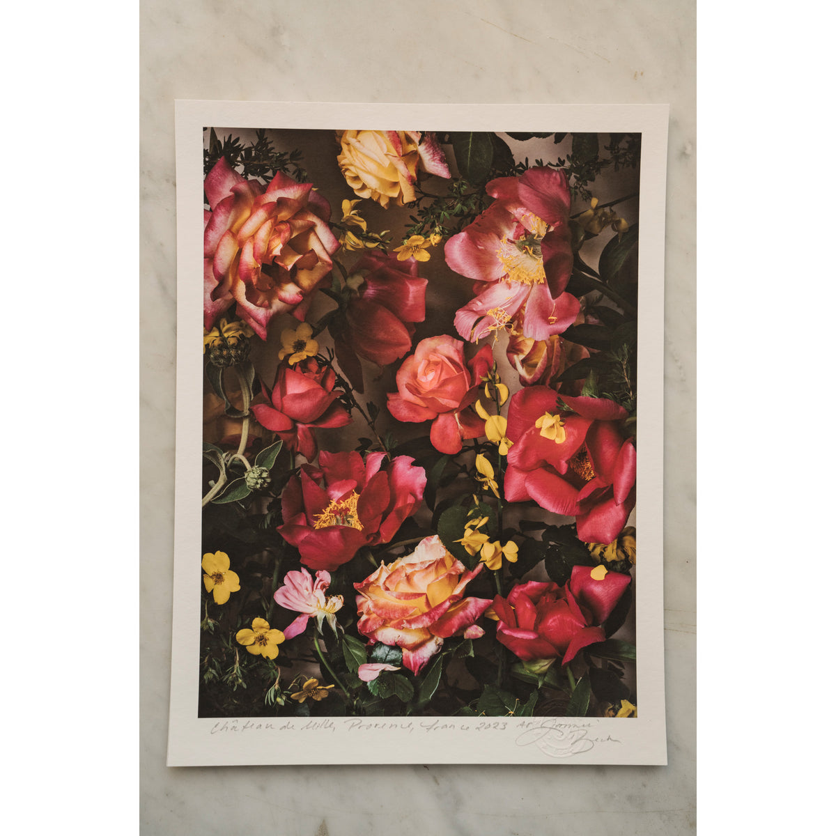 Electric Pink • 1 of 1 signed Artist Proof