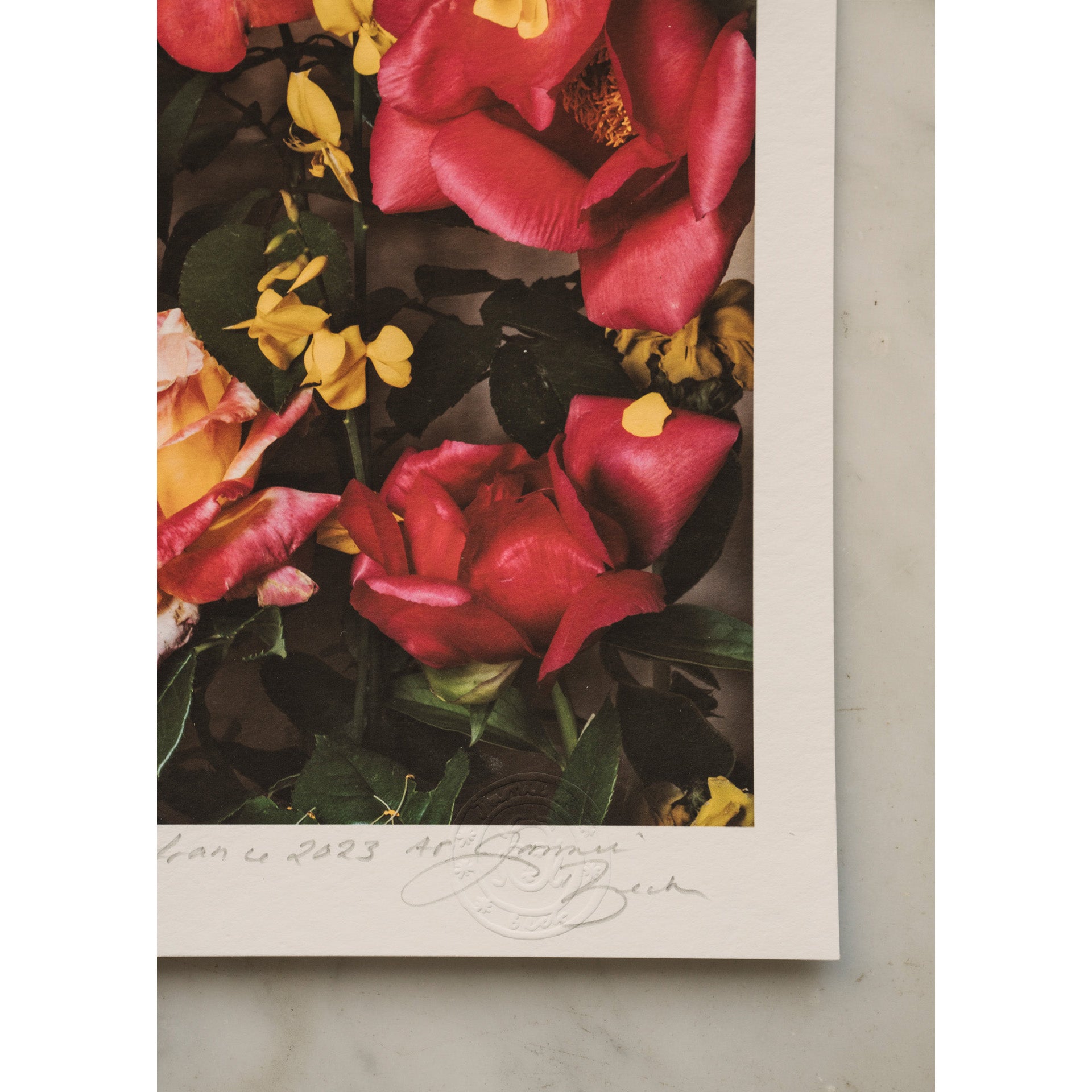 Electric Pink • 1 of 1 signed Artist Proof