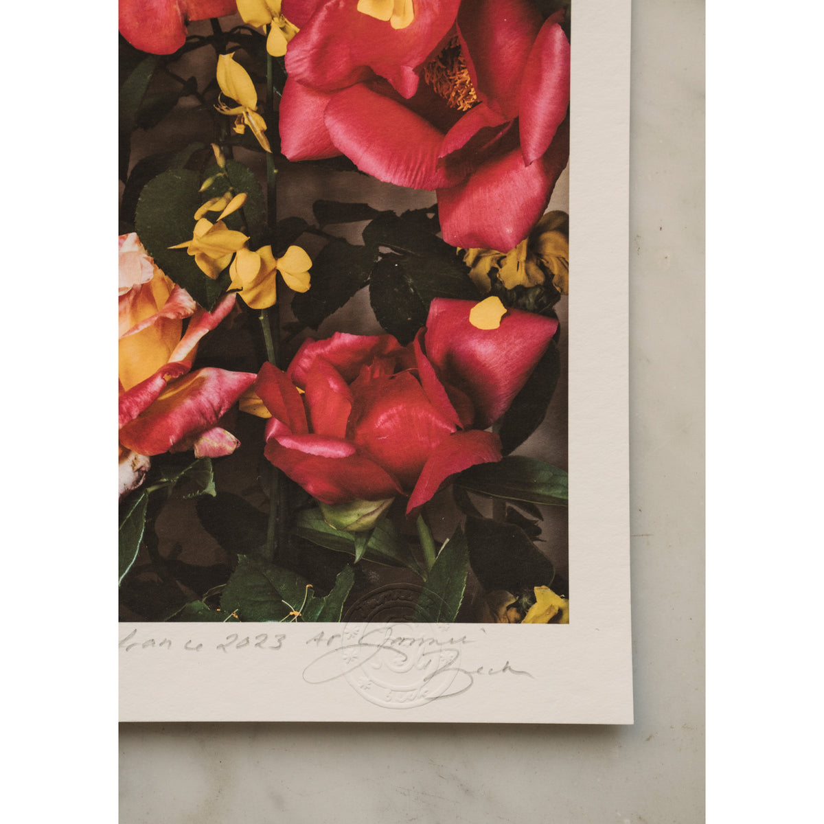 Electric Pink • 1 of 1 signed Artist Proof