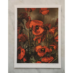 Load image into Gallery viewer, Red Poppies of May • 1 of 1 signed Artist Proof
