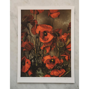 Red Poppies of May • 1 of 1 signed Artist Proof