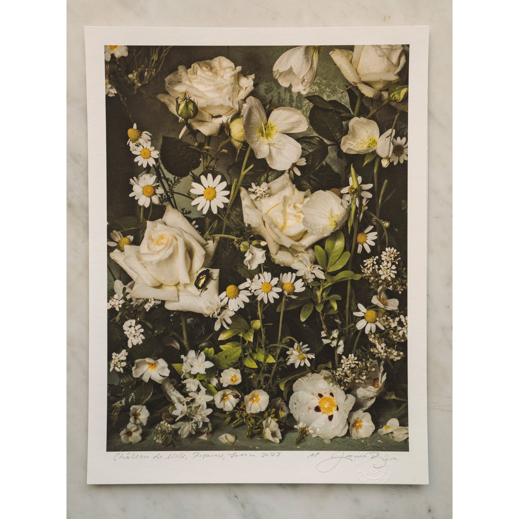 Purity • 1 of 1 signed Artist Proof