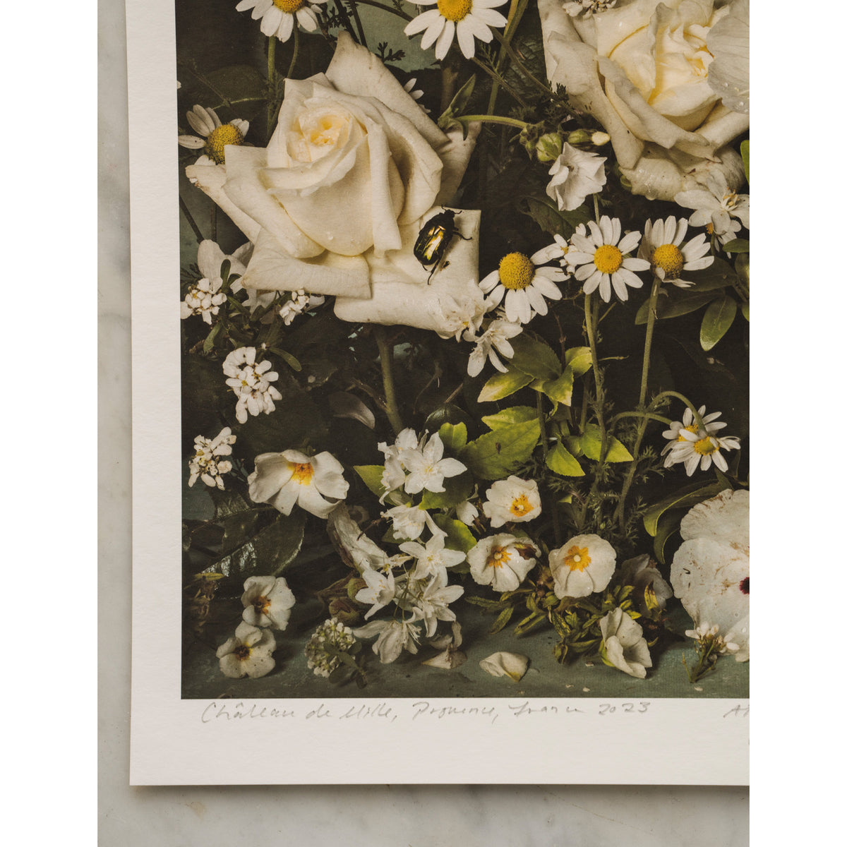 Purity • 1 of 1 signed Artist Proof