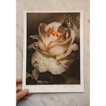 Load image into Gallery viewer, A Butterfly in Sweet Love • 1 of 1 signed Artist Proof
