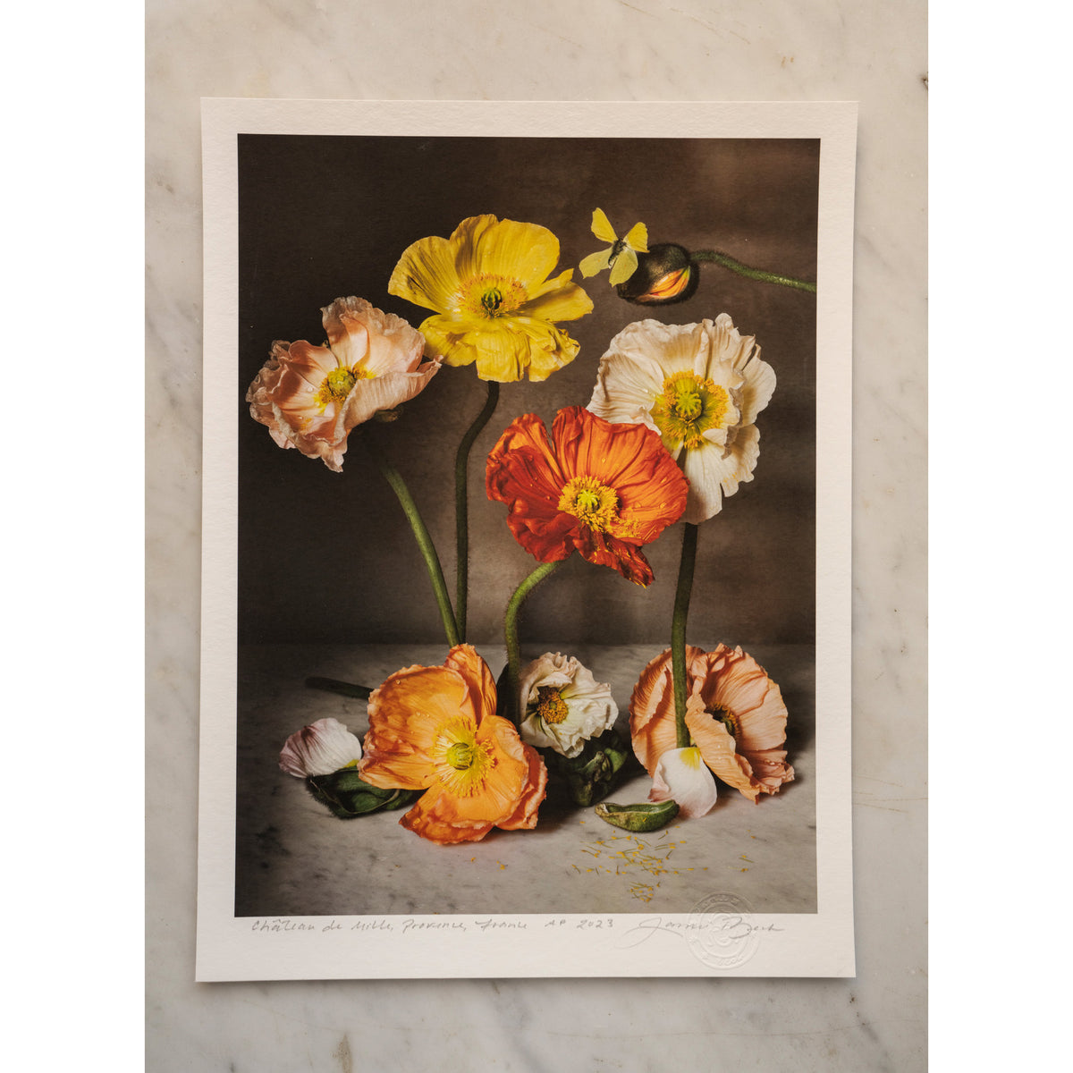 The Flowers of Provence Book Cover • 1 of 1 signed Artist Proof