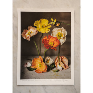 The Flowers of Provence Book Cover • 1 of 1 signed Artist Proof