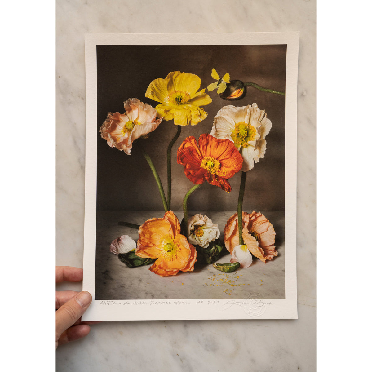 The Flowers of Provence Book Cover • 1 of 1 signed Artist Proof