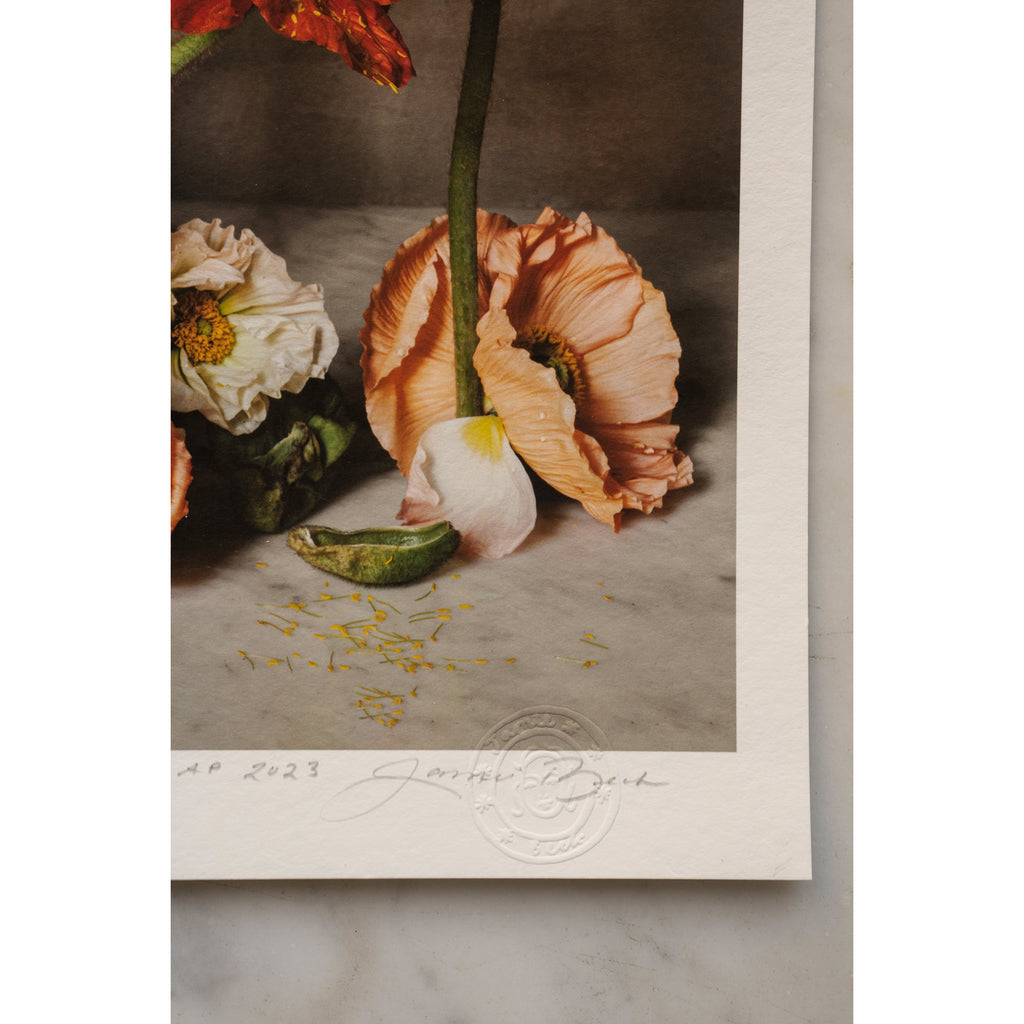 The Flowers of Provence Book Cover • 1 of 1 signed Artist Proof