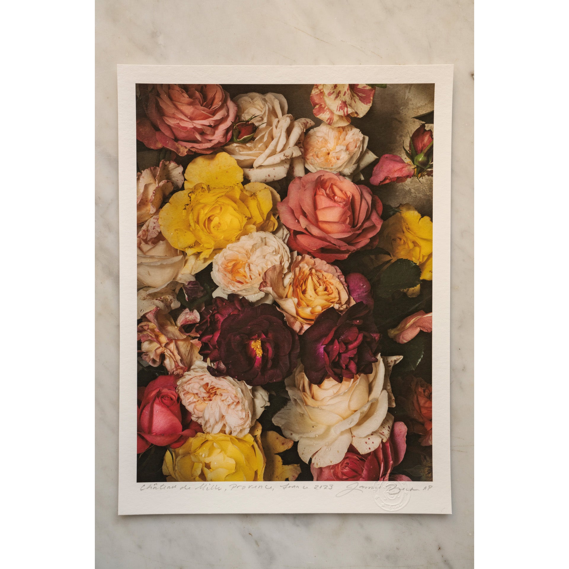 Floral Candy • 1 of 1 signed Artist Proof
