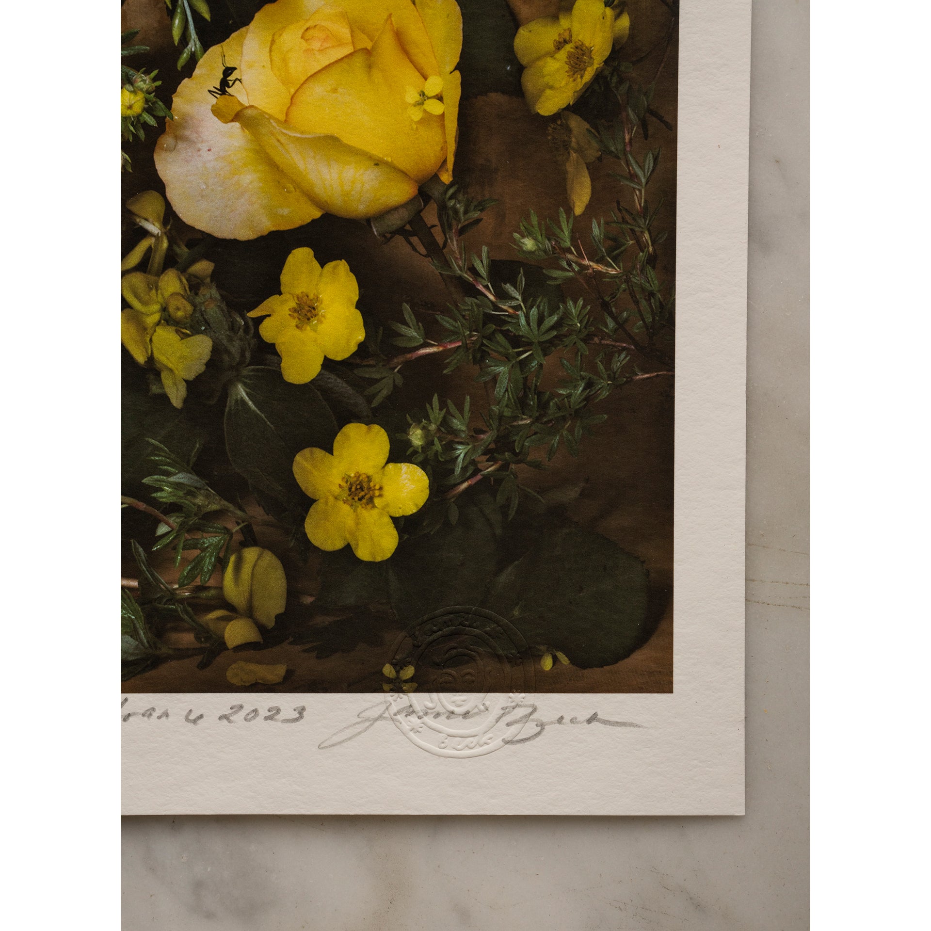 Nature's Gold • 1 of 1 signed Artist Proof