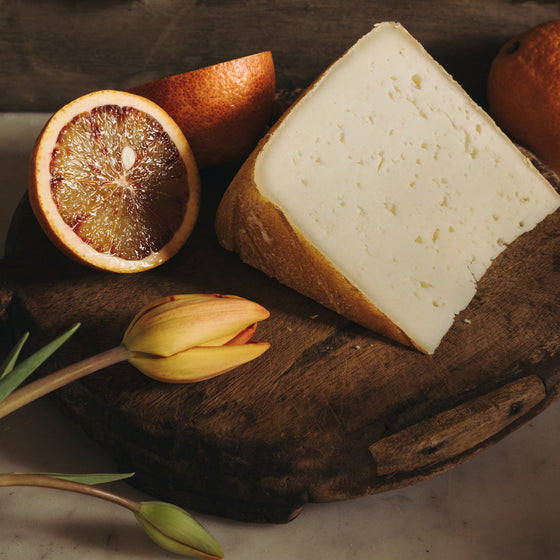 Tulip, Blood Orange, and Cheese • Print