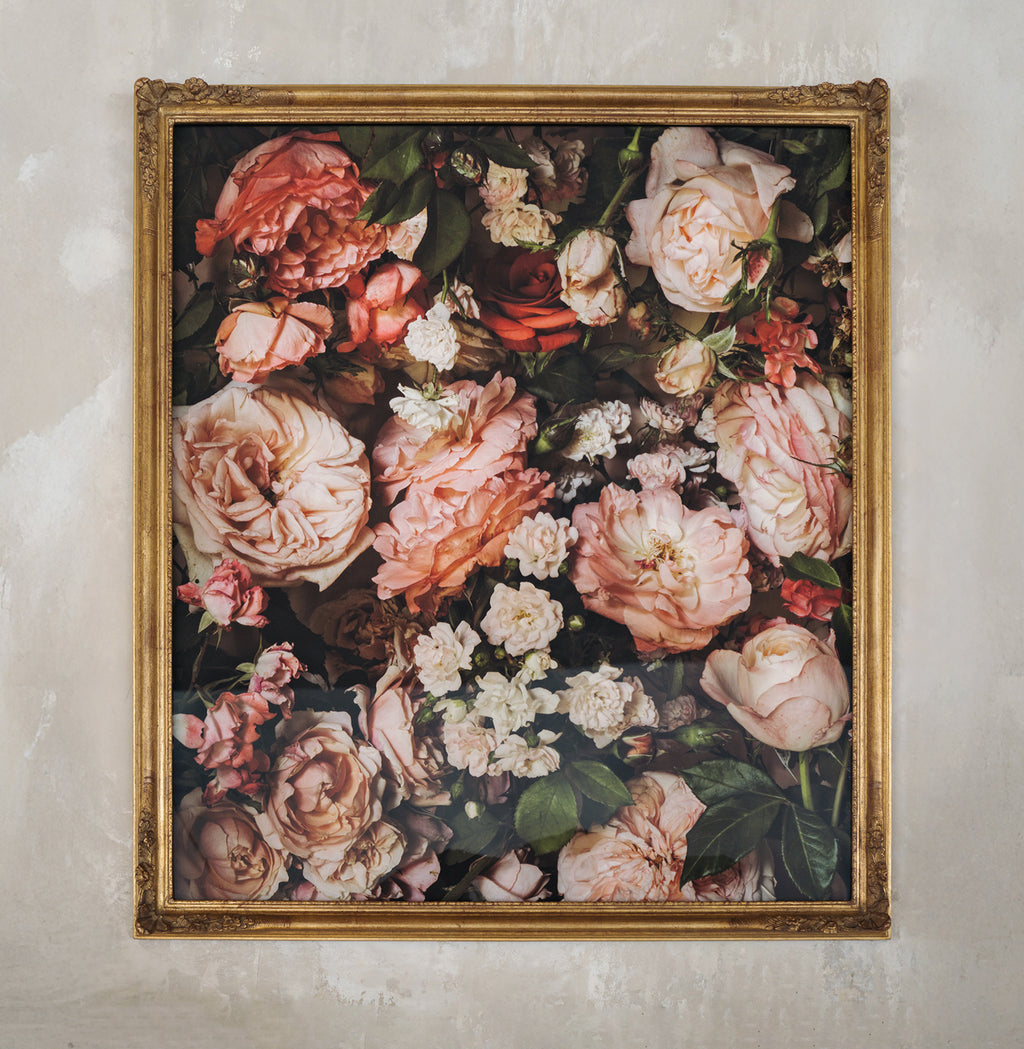 Framed Masterwork - Rose Month Day Twenty-eight