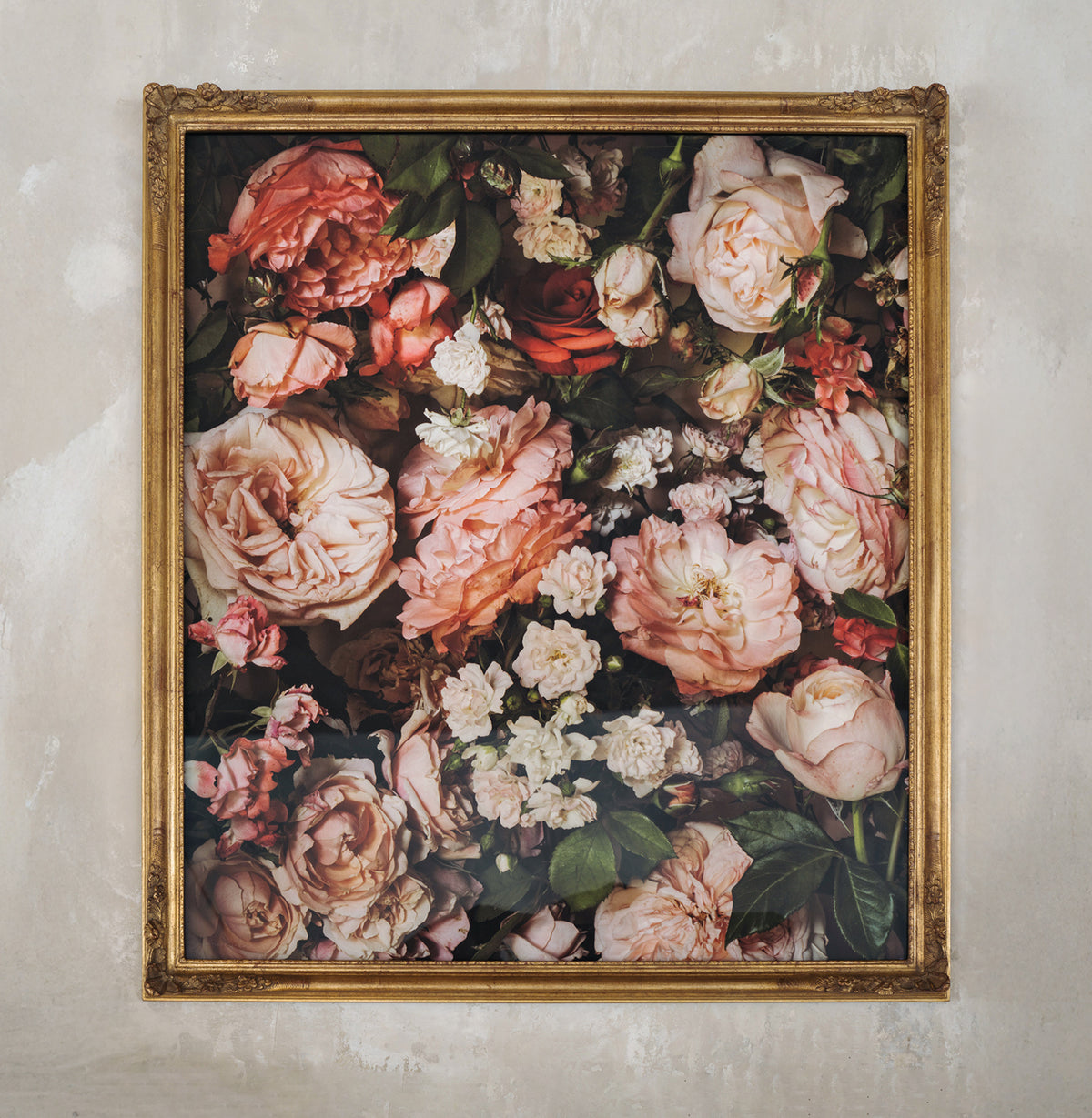 Framed Masterwork - Rose Month Day Twenty-eight