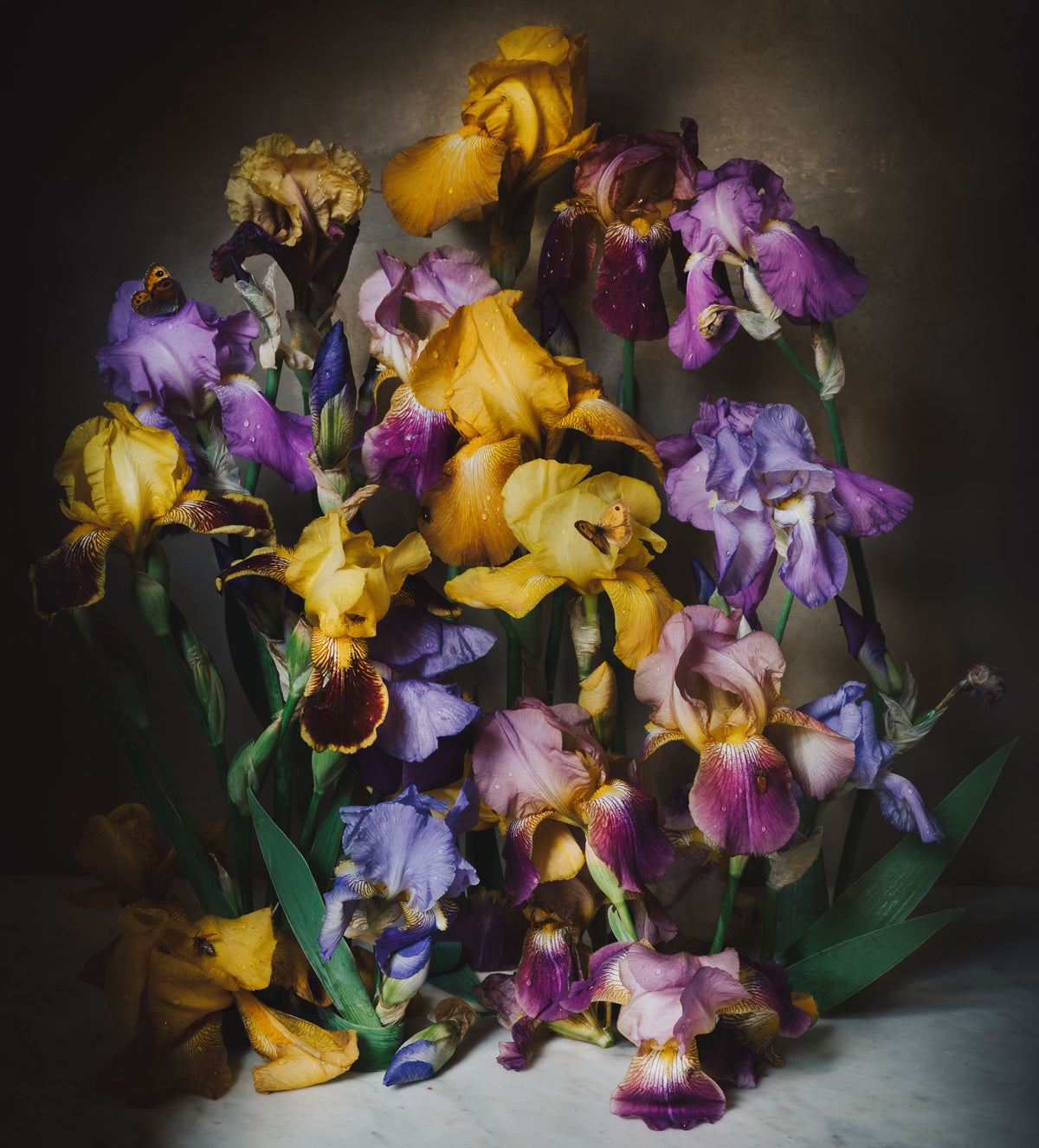 L'Iris Royale • Scented Candle