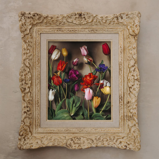 Foraged Tulips from Provence • Original Framed Masterwork – Jamie Beck