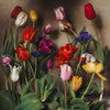 Foraged Tulips from Provence • Print