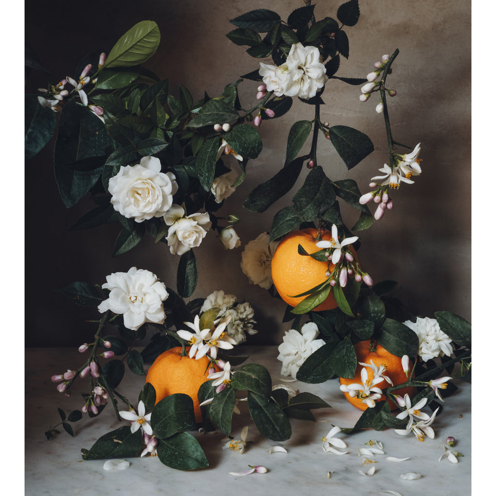 Jardin de l'Orangerie • Scented Candle