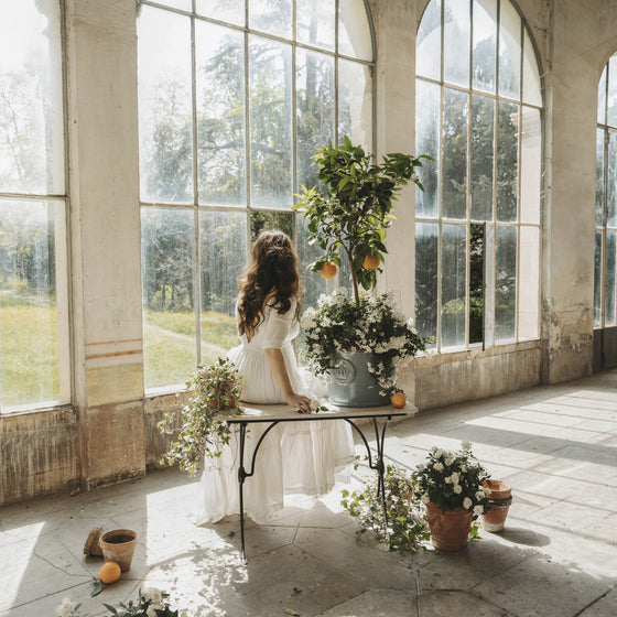 Jardin de l'Orangerie Print