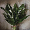 Lily of the Valley I • Print
