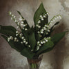 Lily of the Valley II • Print