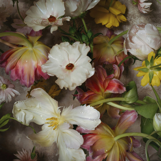 Tulip Wall • Print