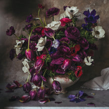  Pink and Purple Winter Flowers • Print