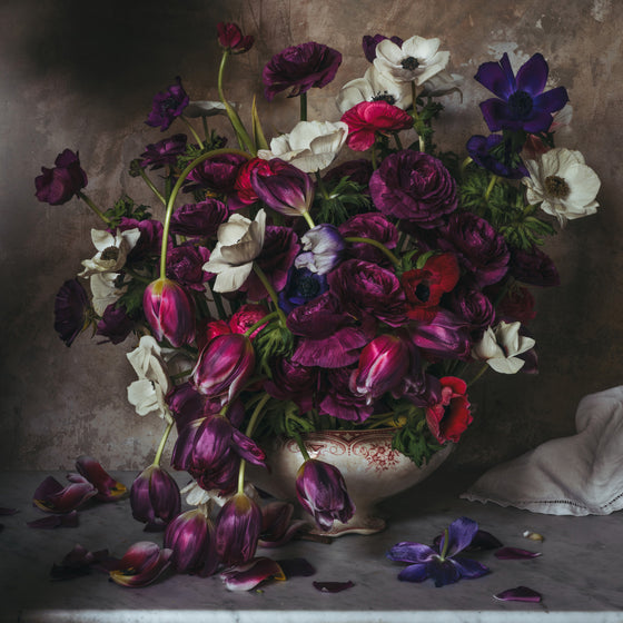 Pink and Purple Winter Flowers • Print