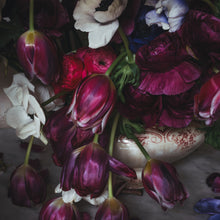  Pink and Purple Winter Flowers Detail • Print
