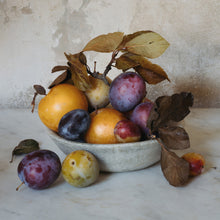 September Plums • Print