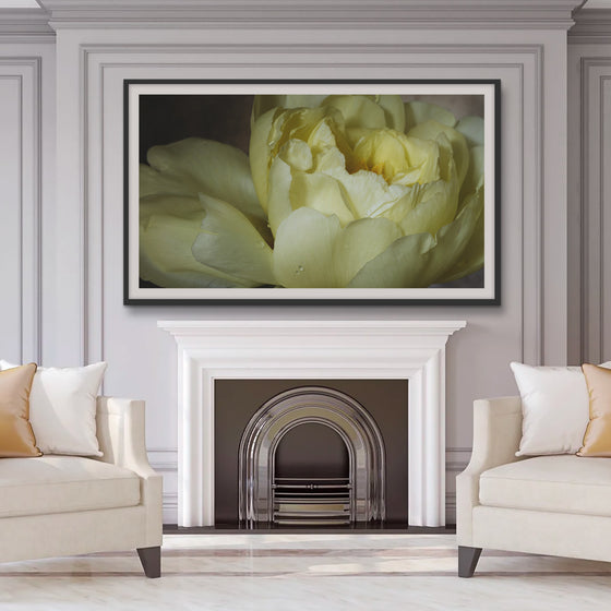 The Flowers of Provence II • Pack of 20 • Art for Samsung The FRAME TV