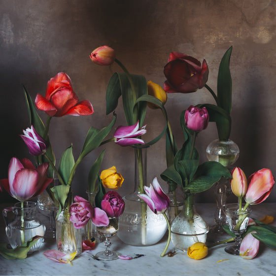 Tulips in Vases • Print