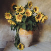 Sunflowers of Provence Print