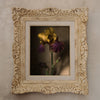 Iris Germanica • Original Framed Masterwork