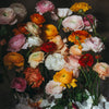 Still Life with Ranunculus • Print