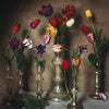 Tulipes Chandelier • Print