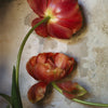 Tulip Dance II • Print