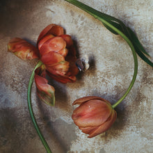  Tulip Dance I • Print