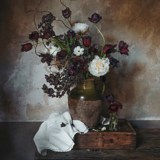 Uzès Tulips • Print