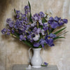 Wild Mountain Irises • Print