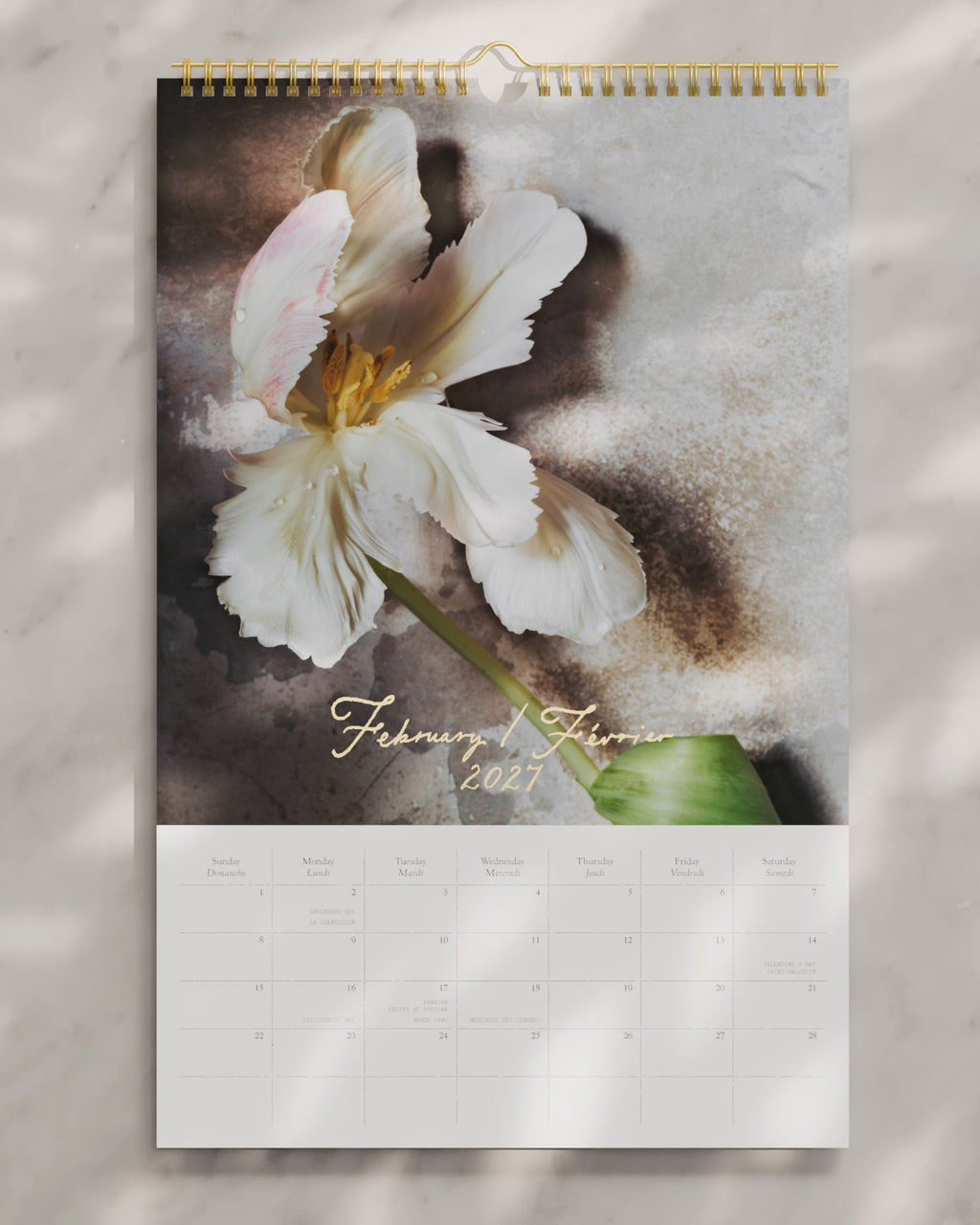 A Year of Tulips • Wall Calendar (pre-order)