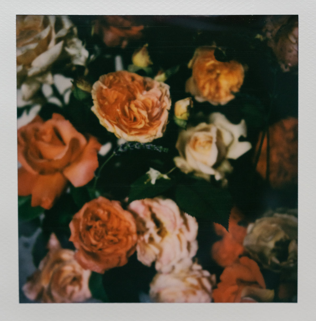 Polaroid Studio Artifact 106