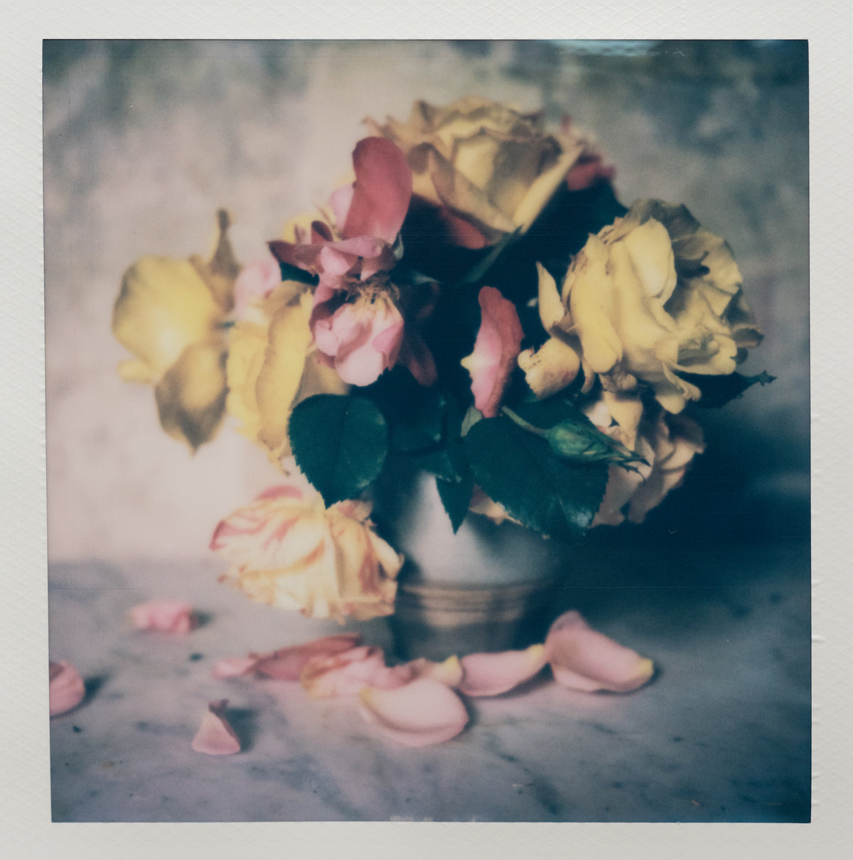 Polaroid Studio Artifact 107