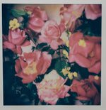 Load image into Gallery viewer, Polaroid Studio Artifact 108
