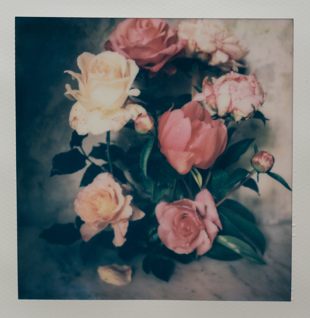 Polaroid Studio Artifact 70