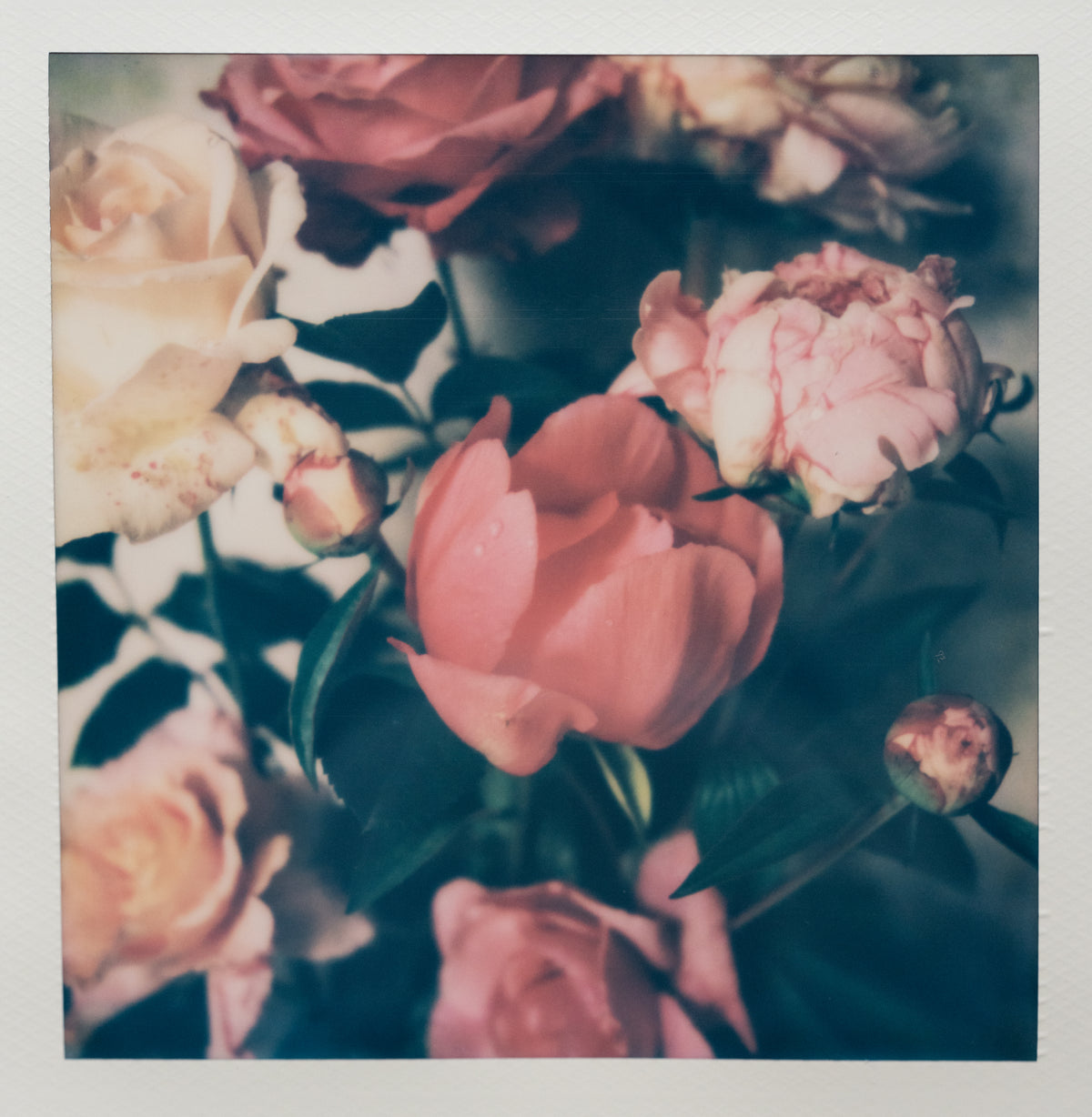 Polaroid Studio Artifact 72