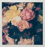 Load image into Gallery viewer, Polaroid Studio Artifact 75
