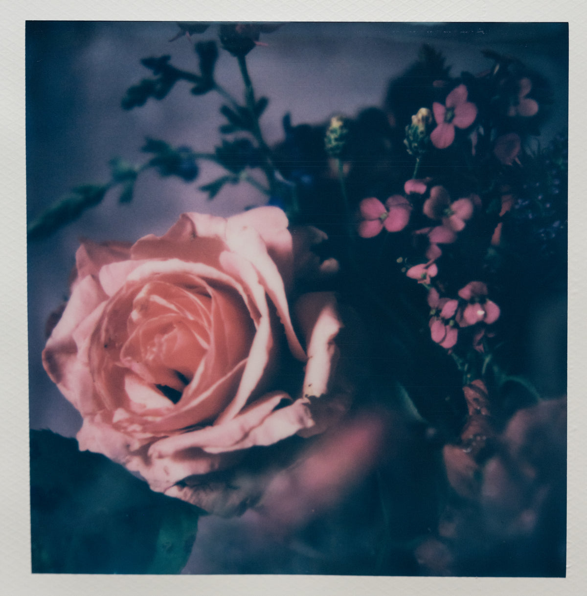 Polaroid Studio Artifact 79
