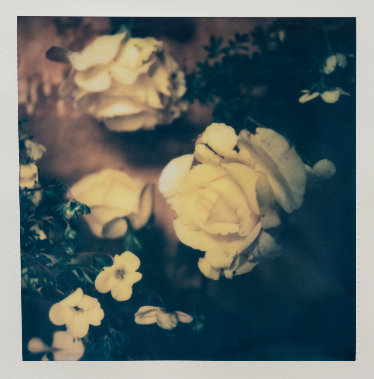 Polaroid Studio Artifact 80